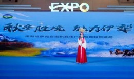 伊犁文旅局爆料新闻最新